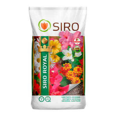 Siro Royal 20L